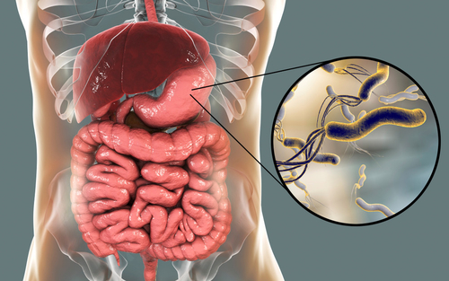 Latest company news about Helicobacter pylori: Mide Sağlığındaki Gizli Suçluyu Açıklamak
