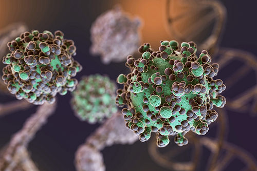 Son şirket blogları hakkında Oncogenic Viruses: The Hidden Threat to Public Health