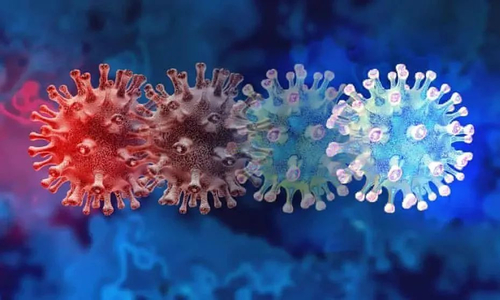 Şirketle ilgili en son haberler ALLTEST BIOTECH tarafından Yeni Coronavirüs varyant suşlarının tespiti hakkında not