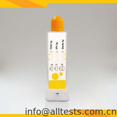 Good price FCoV FPV Giardia Lamblia Antijen Kombo Hızlı Test Kitsleri Dışkı Veteriner Diagnostik Kupası çevrimiçi