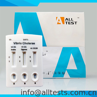 Good price Enfeksiyon Hastalığı Testi İnsan dışkısında Vibrio Cholerae O1 O139'un Hızlı Keşfi Kromatografik bağışıklık testi çevrimiçi