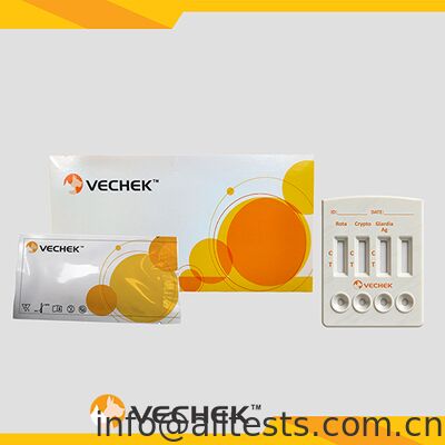 İyi bir fiyat. Dışkı için 10 Dakika Okuma Süreli Yüksek Doğruluklu Rotavirüs Kriptosporidyum Giardia Lamblia Antijen Kombine Hızlı Test Kaseti çevrimiçi