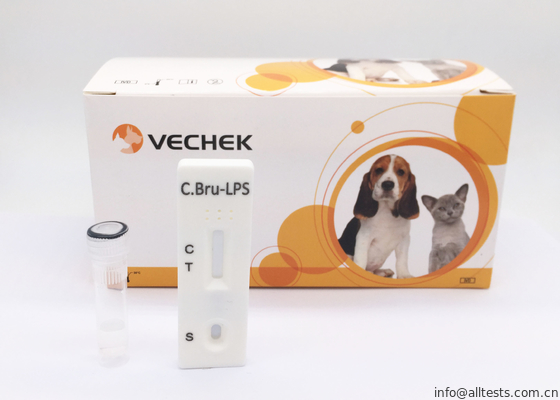 Good price C Bru - Lps Antikor Kaseti Hızlı Test Kitleri Doğruluk Oranı 98% Ulaştı çevrimiçi