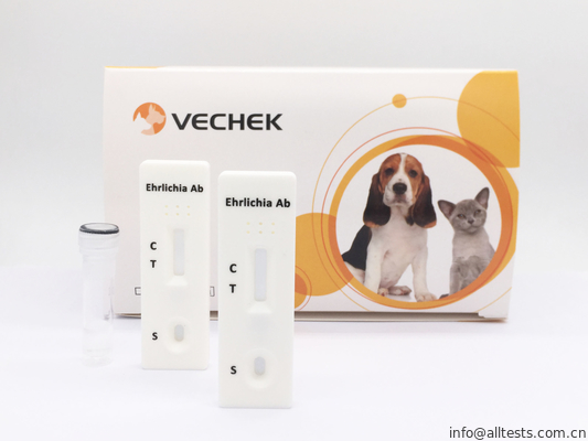Good price Ehrlichia Canis Antikoru Hızlı Test Kaseti, Hızlı Kan Testi Kullanımı Kolay çevrimiçi