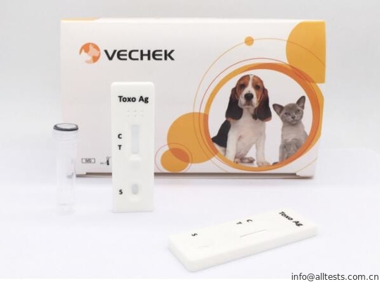 Good price Bir Adım Köpek Hızlı Tahlil Testi Toxoplasma Gondii Ag Testi Uzun Ömür çevrimiçi